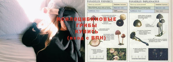 mix Алзамай
