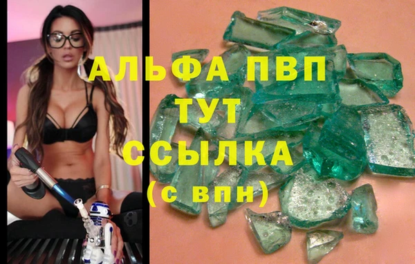 тгк Алексин