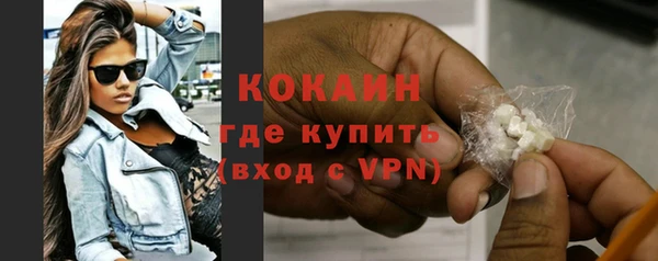 хмурый Пересвет