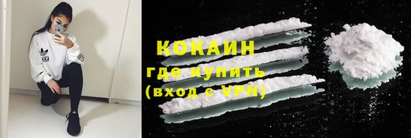 тгк Алексин