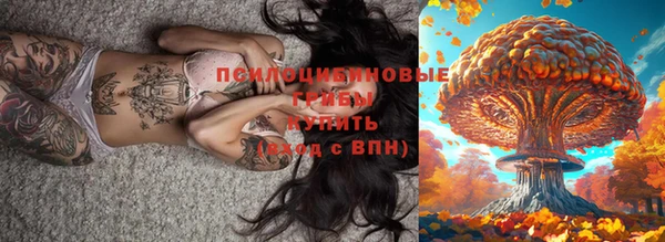 тгк Алексин