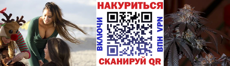 МАРИХУАНА SATIVA & INDICA  купить наркотик  Николаевск 